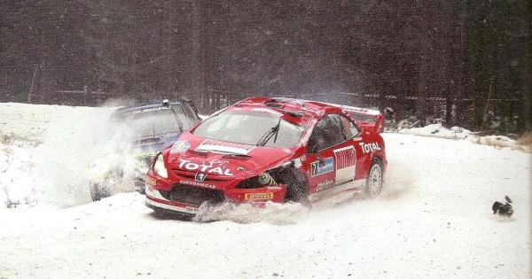 Húsz évvel ezelőtt egy felejthetetlen, legendás összecsapás zajlott a svéd tájakon, ahol Solberg és Grönholm összemérték tudásukat a Svéd Rally küzdelmeiben.