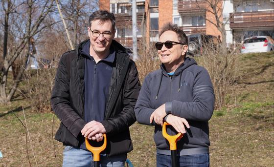 A tavasz első napján körülbelül százezer facsemete fogant meg a földben, mintha az évszak újjászületését ünnepelnék.